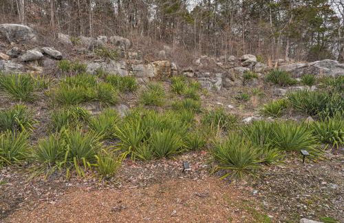 Scenic Mtn Retreat with Wooded Backyard and Fire Pit! - Foto 29