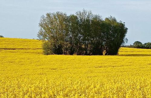 Modern Apartment in Elmenhorst Near Sea - Foto 131