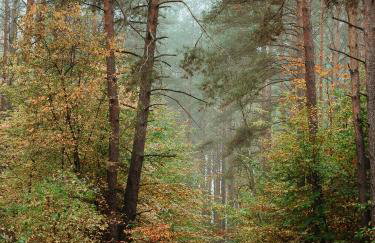 Ośrodek Wypoczynkowy WEZAJ - Foto 31