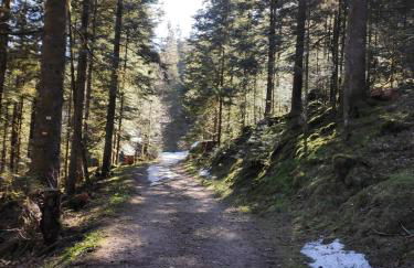 Chalet Paradis, panoramic view, garden & terrace - Foto 32