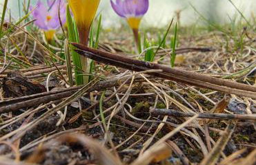 Leśniczówka Zielone Zakole - Foto 27
