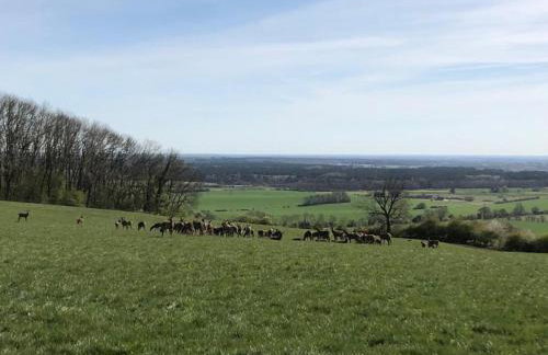 Cosy Lincs Wolds Cottage in Picturesque Tealby - Foto 38