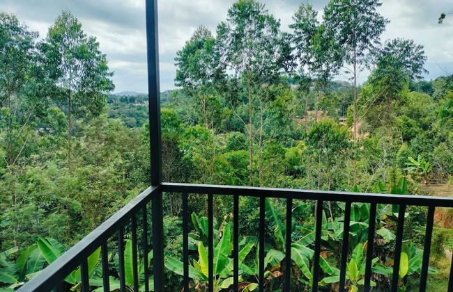 Half Moon - Photo 10