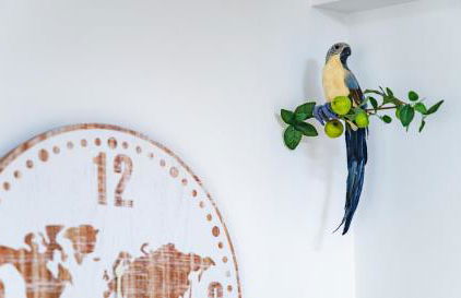 Parrot’s House - Foto 37