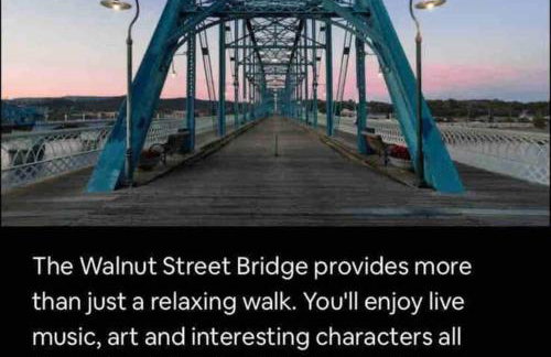 Brand New Luxury home 2022-Hot Tub-Pet Friendly - Foto 40