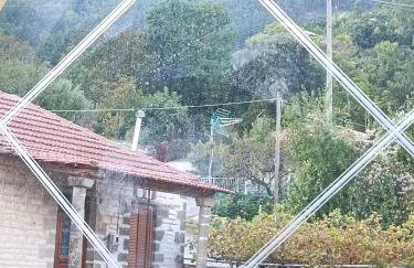 ΑΡΧΟΝΤΙΚΟ ΜΑΝΤΕΙΟ - Photo 26