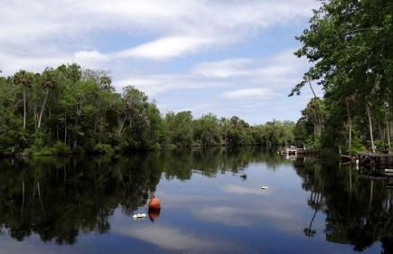 Rustic Cabin Rental Located in St. Marks Wildlife Refuge, Florida - Foto 19