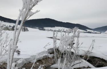 Appartement Les Ptits Loups - Foto 28