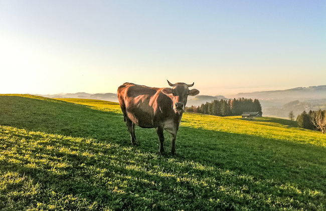 Panoramablick - Foto 23