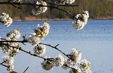 Haus Lisbeth - Foto 26