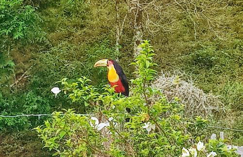 Casa de campos são Francisco Xavier Xavier - Foto 77