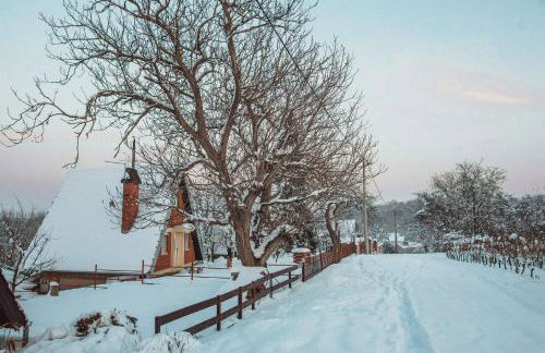 Kuća za odmor Apathy - Foto 24