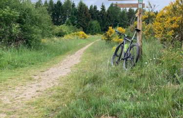 Freistehendes Haus im Nationalpark Gemünd mit E-bike Option! - Foto 39