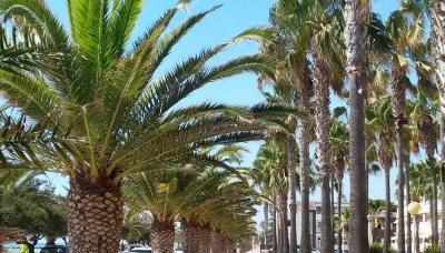 Chill'n Holidays - Foto 2