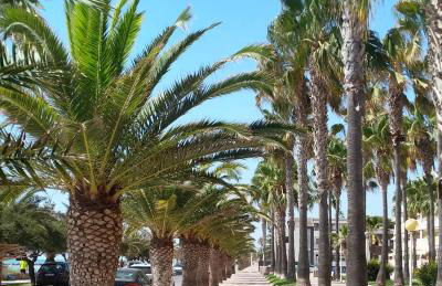 Chill'n Holidays - Foto 2