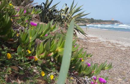 La casetta celeste - Foto 6