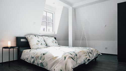 Ferienwohnungen Schleicher mit Klimaanlage - Foto 4