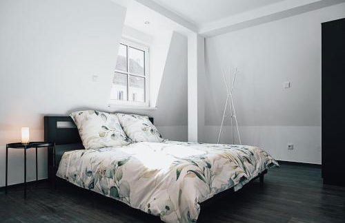 Ferienwohnungen Schleicher mit Klimaanlage - Foto 4