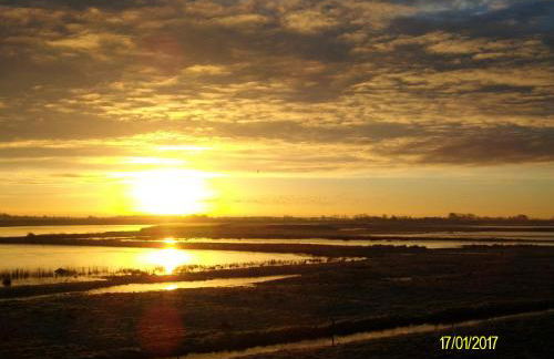 Gästehaus Hemmerdeich-alte Schule - Foto 34