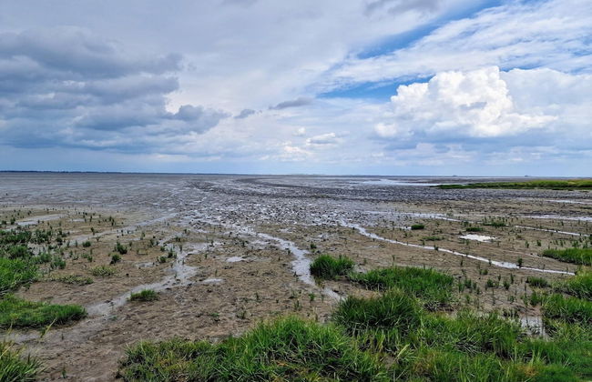 Ferienwohnung in Nesse - Foto 41