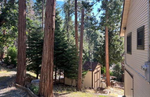 Sequoia National Forest CabinD - Foto 6