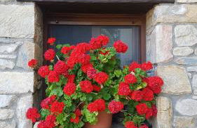 Casa Castel naturaleza y descanso - Foto 8