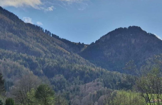 Family log Cabin in the Alps - Foto 23