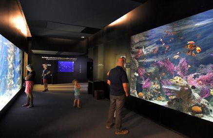 Appartement avec vue exceptionnelle sur mer - Foto 60