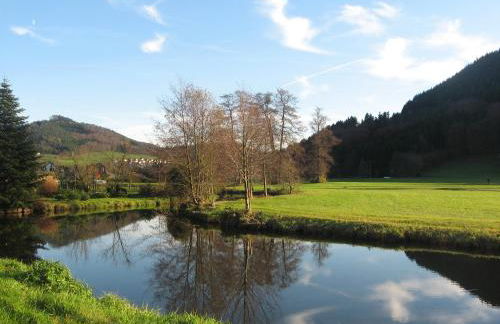 Alte Schmiede - Foto 14