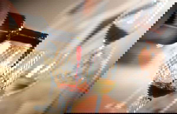 Graves and Entre-deux-Mers Winery Visits & Wine Tasting - Foto 4