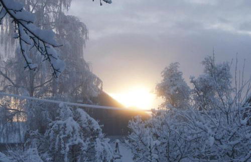 Ferienwohnung im Obstgarten - Foto 54