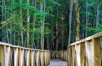 Ático Nuevo con vistas - Foto 15