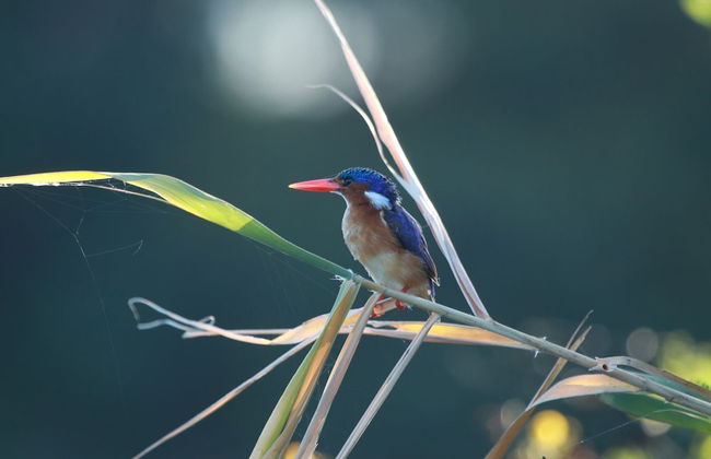 Uplands Homestead - Photo 28