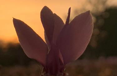 Le Buscagneau - Photo 25