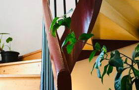 Ferienwohnungen Jowatzky Altkötzschenbroda - Foto 33