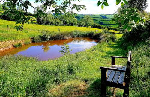 Cornflour Cozy Cabin Retreat - Foto 14