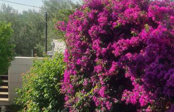 VillaTonia - Suite home - Foto 2