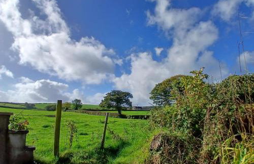 Hazel Cottage, Frithelstock - Foto 12