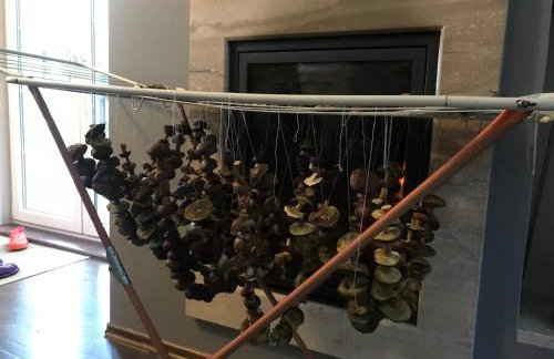 DOM NA KASZUBACH, SAUNA i BALIA - Foto 31