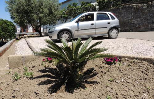 Johanna’s house - Foto 30