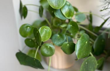 STADLERINO - Tiny Loft in Venice - Foto 7