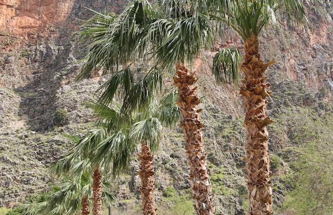 Kelebekler Vadisi Butterfly Valley - Foto 67