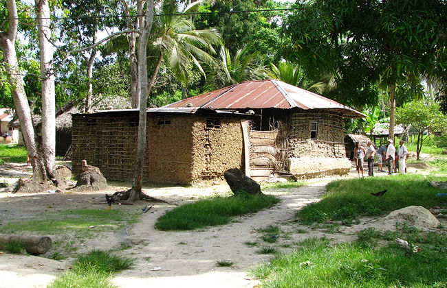 Zanzibar Pure Passion - Photo 3