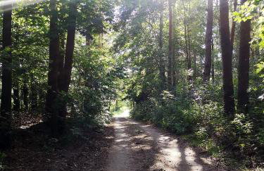 Bezkresne- Domy w Sidorach - Foto 73