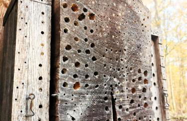 Ferienwohnung Löwenstern Niederstetten - Foto 29