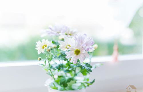 Ferienwohnung Knopf - Foto 36