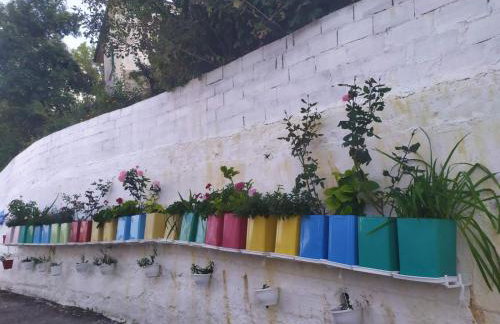 Dora's Home - Photo 6