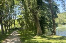 Charmant studio au bord du lac d’Elancourt village - Foto 18