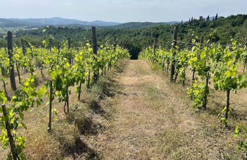 Luxury 1-bedroom house with the pool in Tuscany. - Foto 31