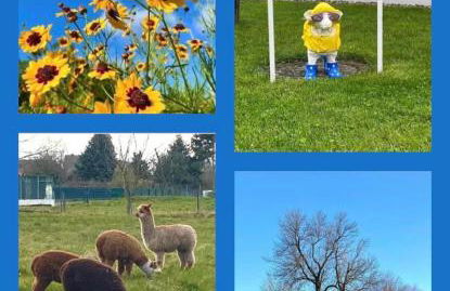 Apartment Glesch - Foto 22